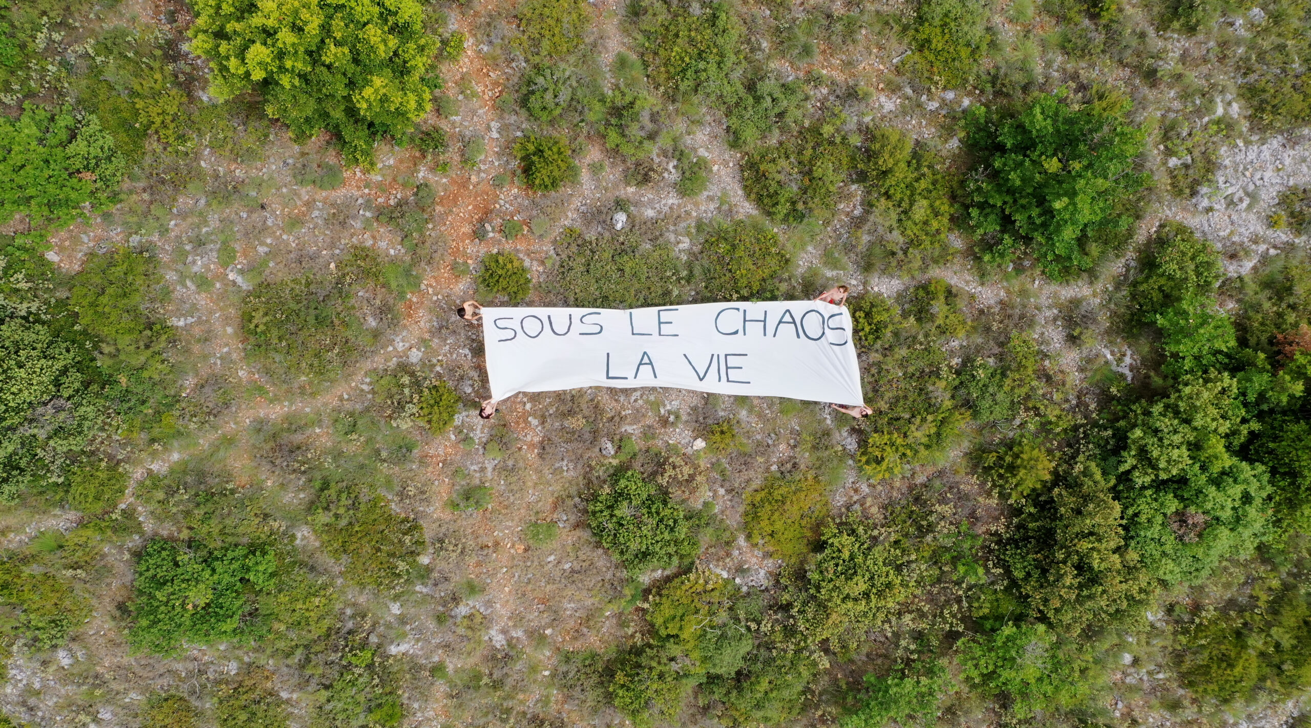 Sous le chaos, la vie ,  2021