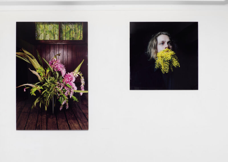 A rose is a petunia is a mimosa – Galerie Eva Vautier – du 14 juin au 10 septembre 2022