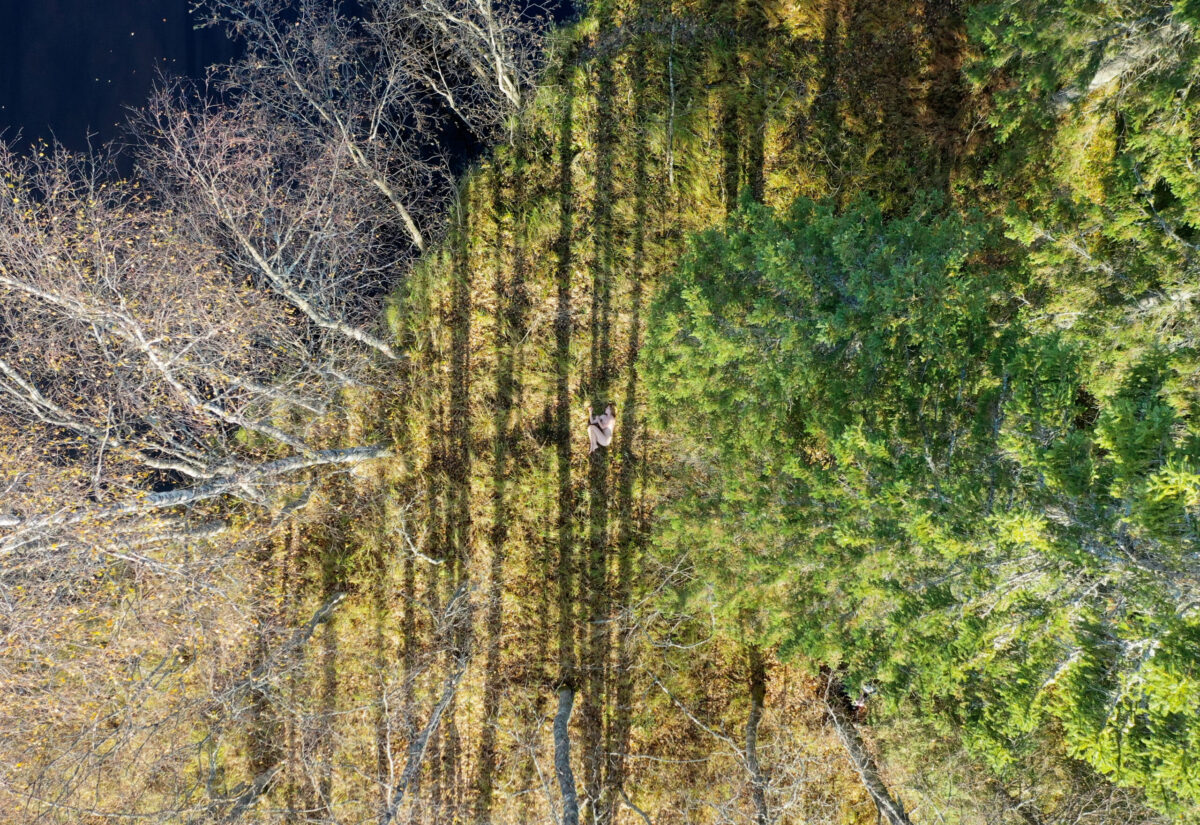 Ode à la joie n°5 - Lignes naturelles
