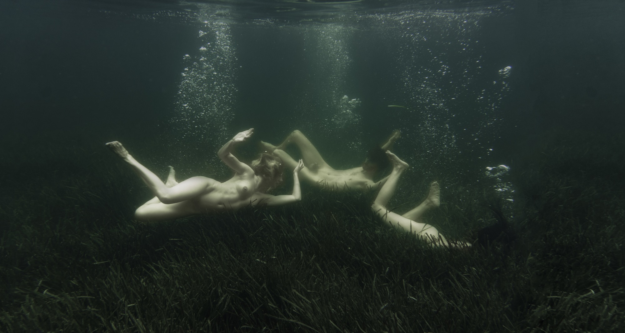 La chute - 2018 - Serie Nous avons essayé de nous endormir sous l’eau - 120 x 65 cm Web SF_60 Œuvre originale