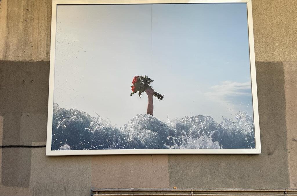 Révolution naturelle II – Affichage public