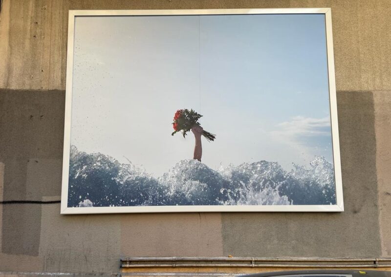 Révolution naturelle II – Affichage public